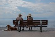 Couple of Elderly People Sitting at the Bench with their Golden Retriever