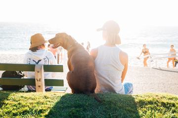 Woman Wearing a Cap and a T-shirt Sitting on the Grass Near the Beach with her Dog
