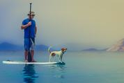 Surfing with Man's Best Friend - Dog