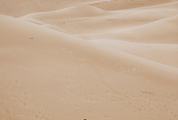 Solitary Person Walking through Sand Dunes