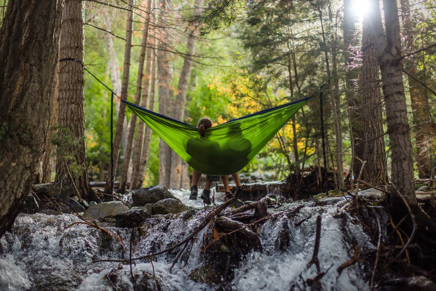 Relaxing in Hammock in the Forest
