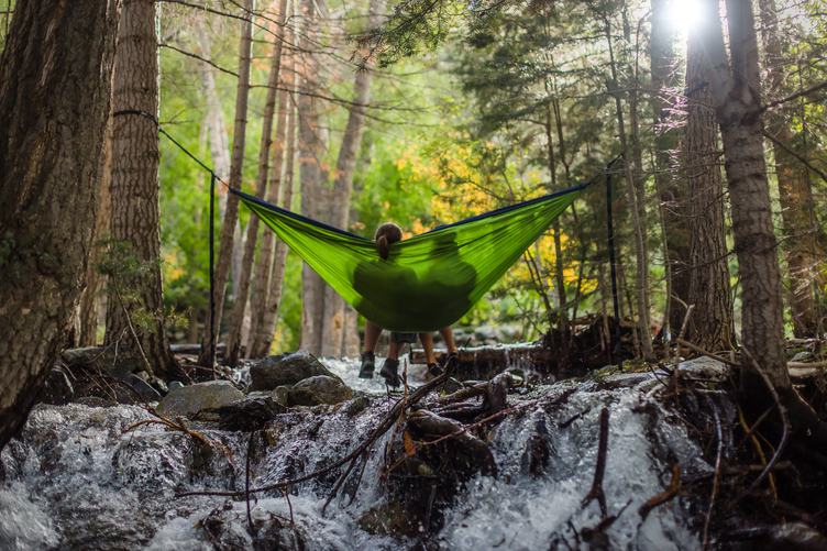 Relaxing in Hammock in the Forest