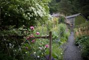 Wild Blossoming Garden with a Cottage