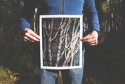 Man Holding a Printed Photo of Trees