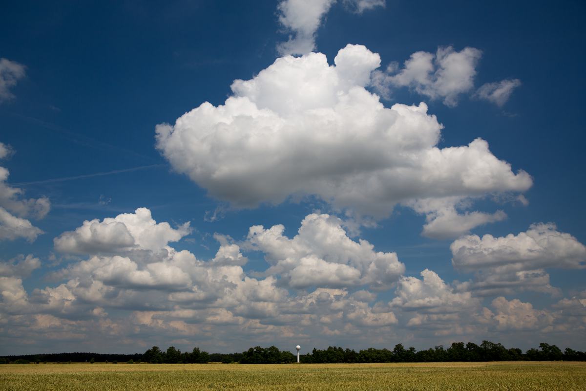 Free Photo: Impressive White Clouds in the Blue Sky above the Field