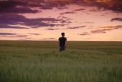 Young Man Walking on Field and Enjoying Sunset