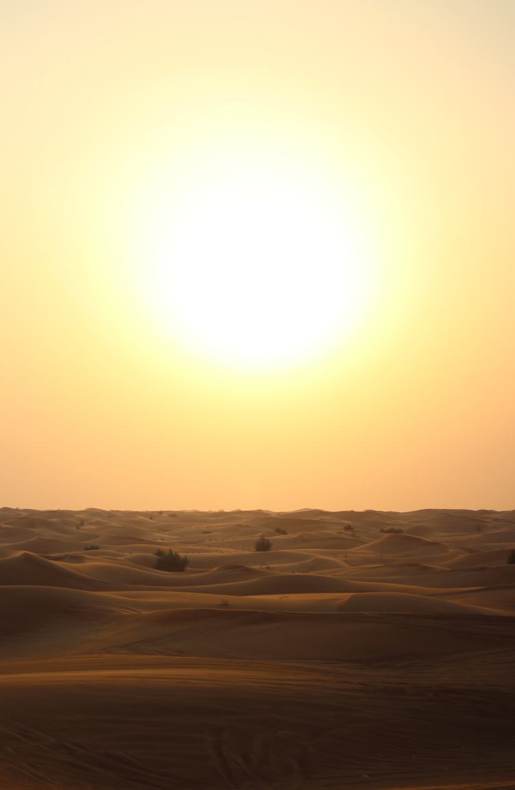 Desert Evening Glowing by the Big Sun