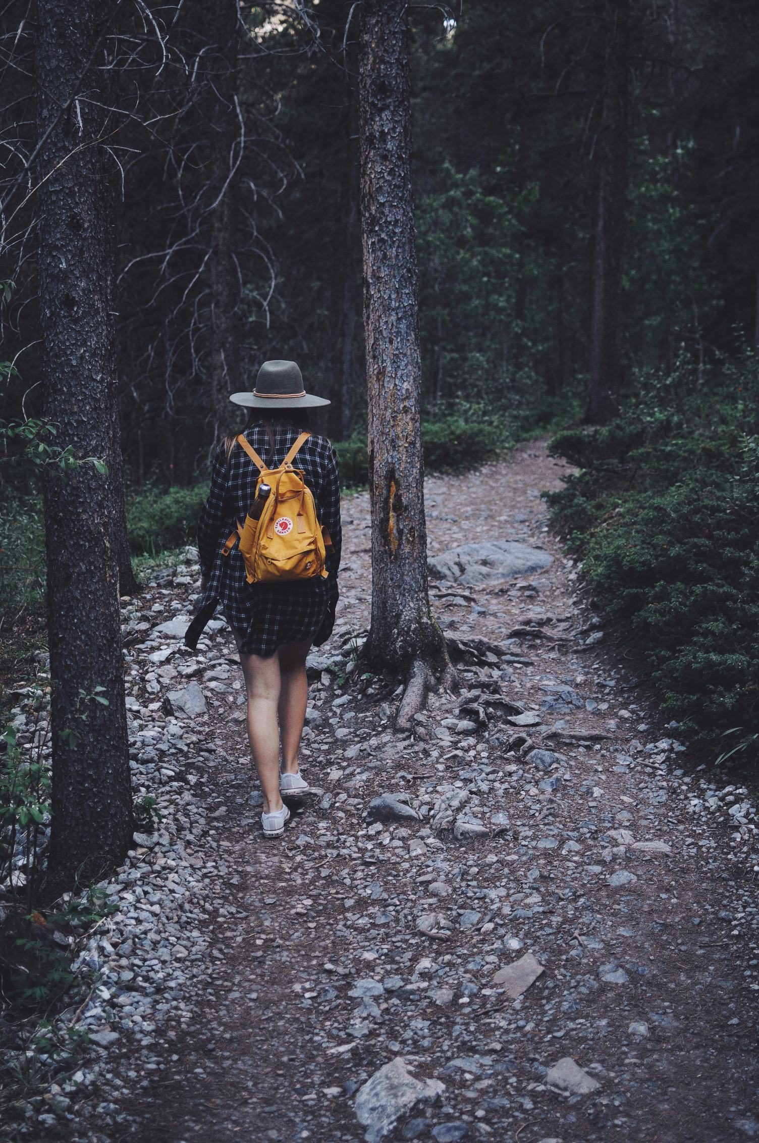 Hiker Woman with Backpack Walking on Path Forest