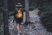 Hiker Woman with Backpack Walking on Path Forest