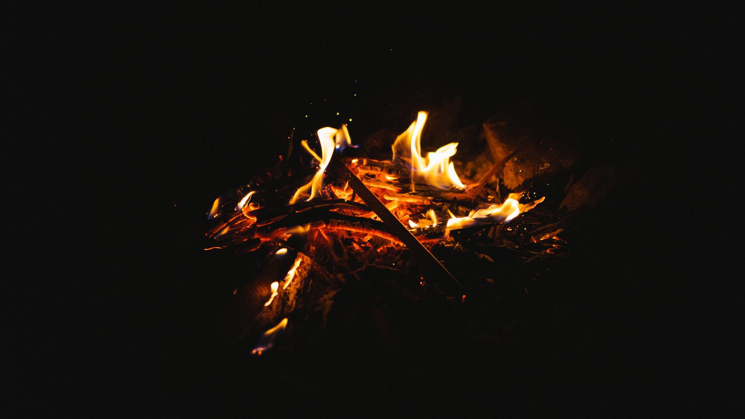Flames of a Campfire in the Night