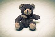 Cute Teddy Bear Sitting