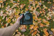 Holding a DSLR Camera with Autumn Colored Leaves in the Background
