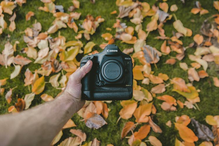 Holding a DSLR Camera with Autumn Colored Leaves in the Background