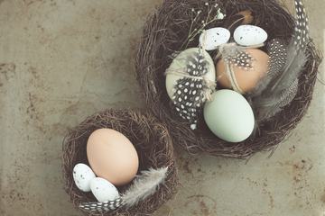 Easter Composition with Bird Nest Eggs and Quail Feathers
