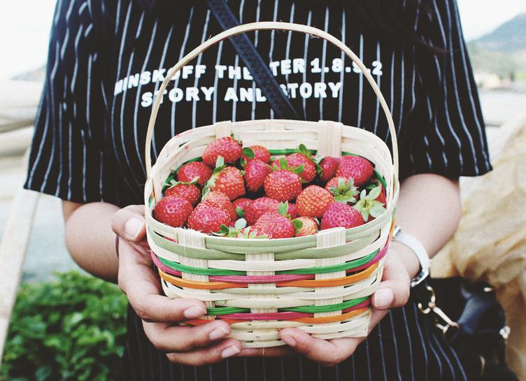 Strawberries in a Basket in the Hands of a Woman
