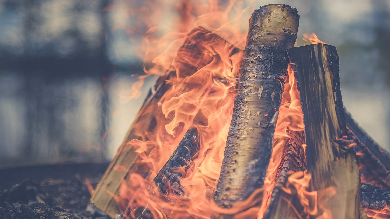 Campfire in Nature with Blurred Background