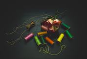 Colorful Threads with Dried Roses