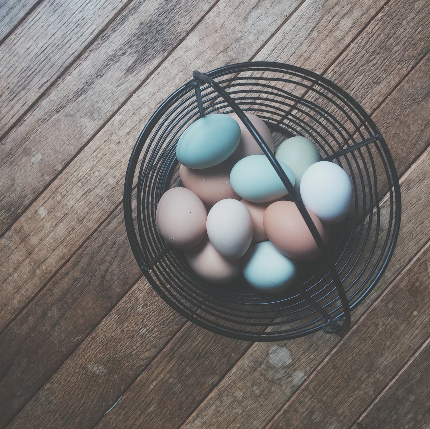 Colored Easter Eggs in Black Wire Basket on Wooden Floor