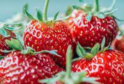 Strawberries Berry Close up