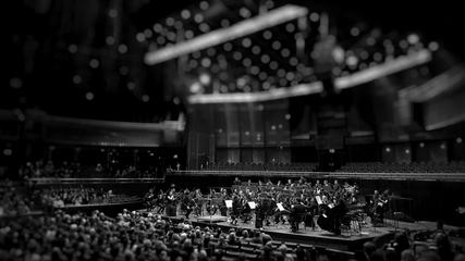 Symphony Orchestra in the Concert Hall
