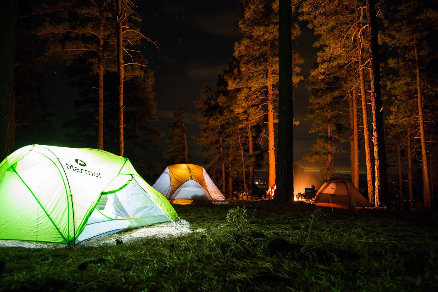 Camping in Forest with Tent Light and Bonfire