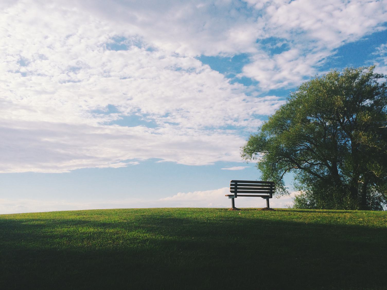 A Wooded Bench on a Grassy Hill