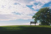 A Wooded Bench on a Grassy Hill