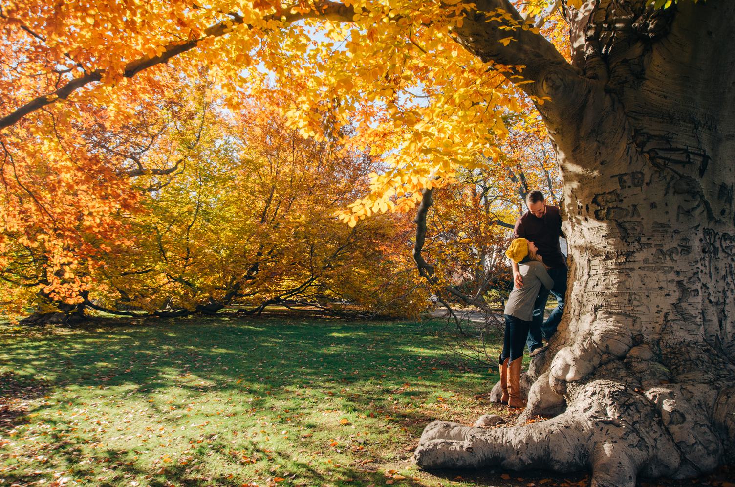 Young Couple in a Park on a Sunny Autumn Day