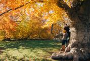 Young Couple in a Park on a Sunny Autumn Day