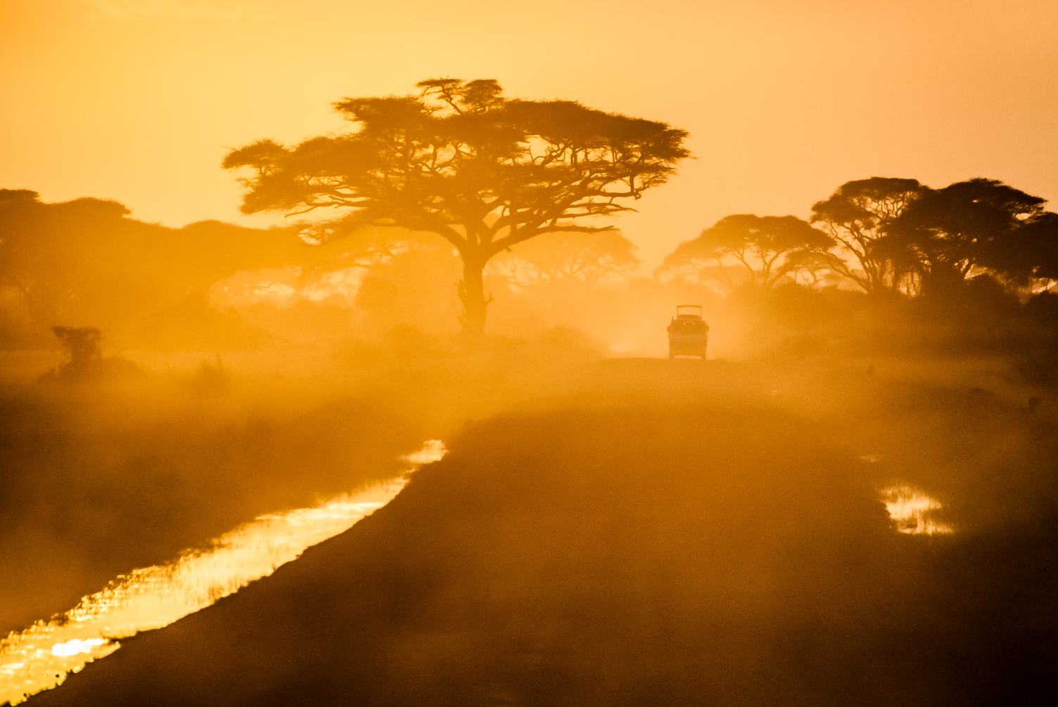 Sunset in African Silhouette of Safari Car