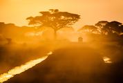 Sunset in African Silhouette of Safari Car