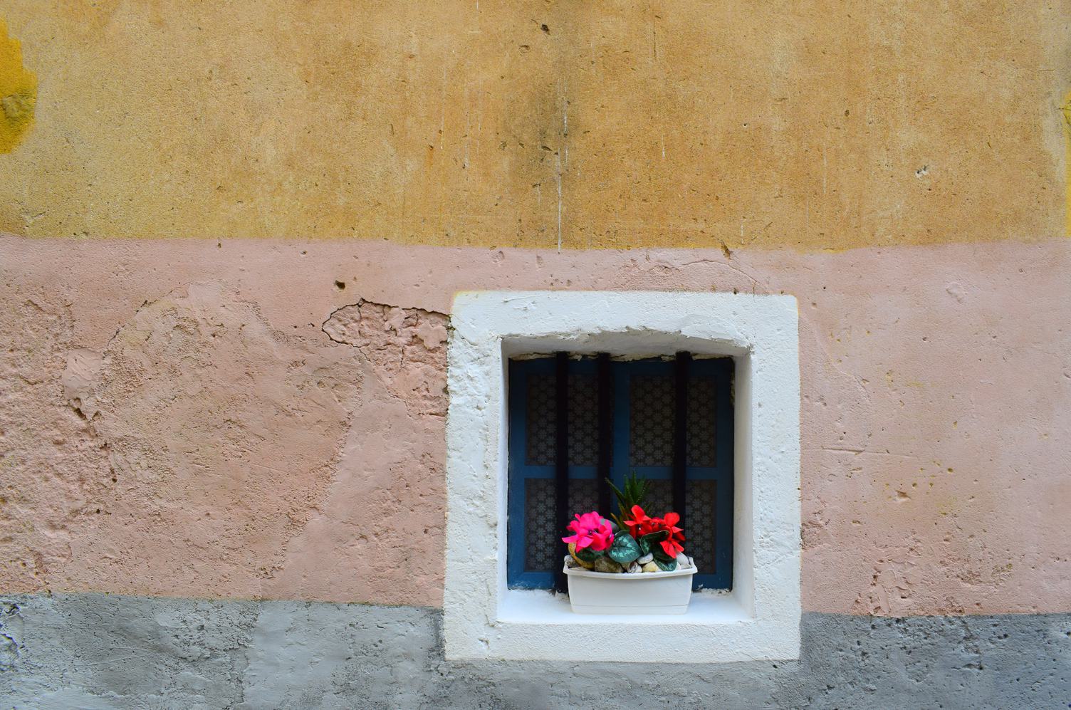 Old Window with Plants in Pot