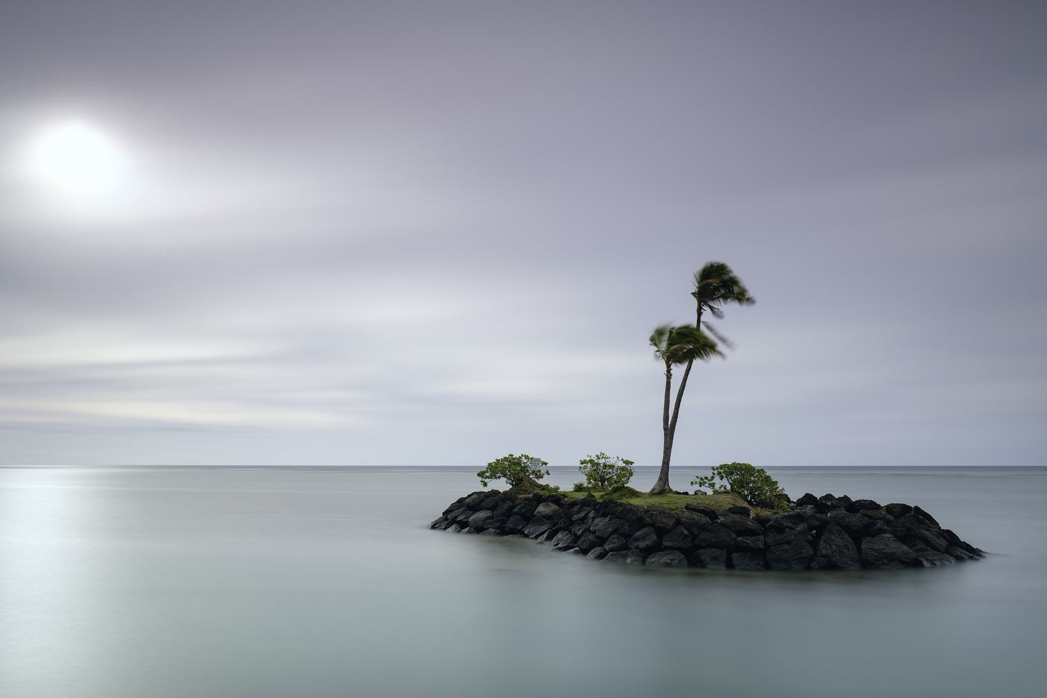 Palm Tree on a Small Island