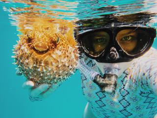 Young Woman Snorkeling in a Tropical Sea and Holding Fish