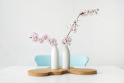 Pink Blossoming Flowers of the Fruit Tree on White Table