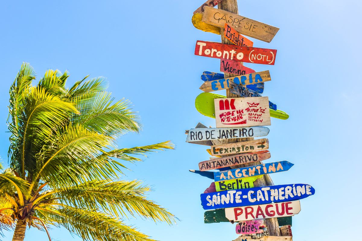 Free Photo: Colored Wooden Direction Signs against Sky and Palm Tree