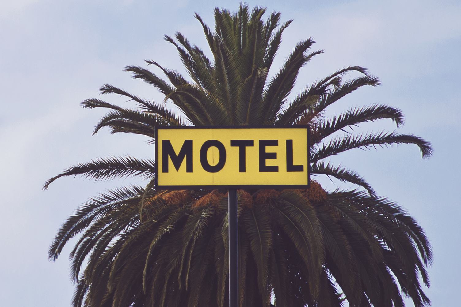 Motel Sign with Palm Tree
