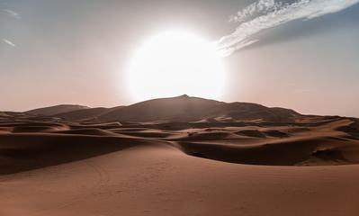 Beautiful Sand Dunes in the Desert