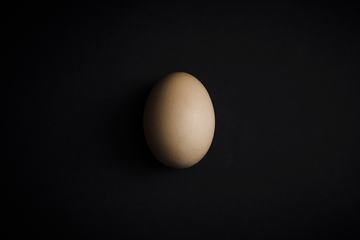 Single Egg on Black Background