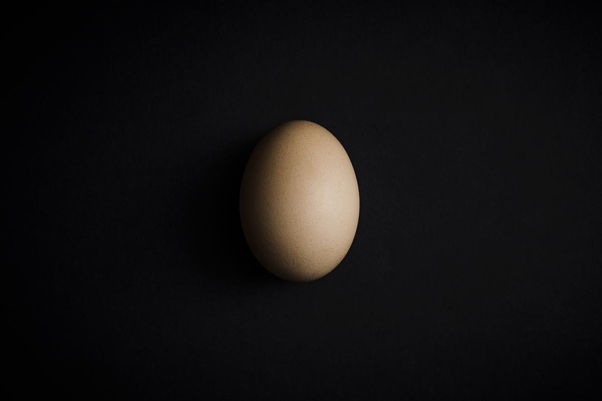 Free Photo: Single Egg on Black Background