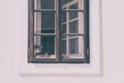 Cat Sleeping in the Window