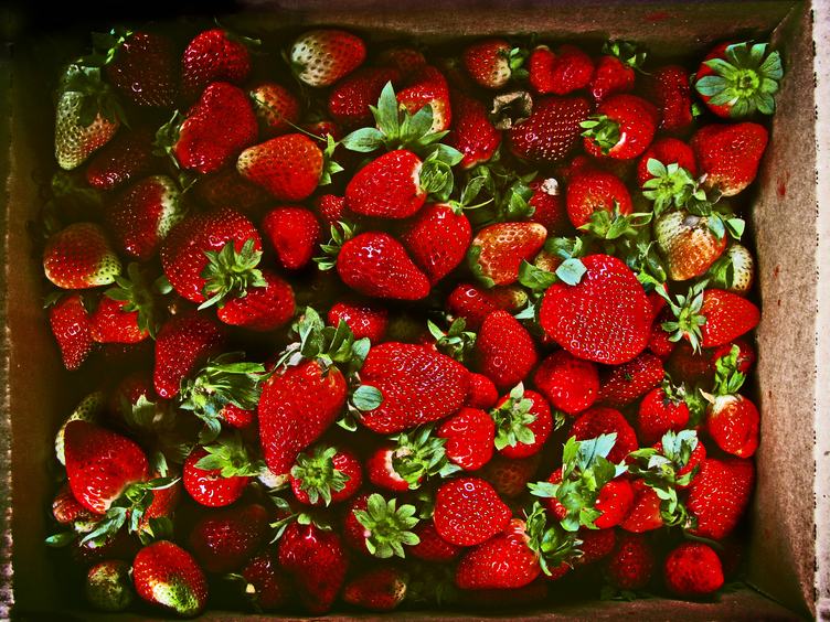 Strawberries in the Box