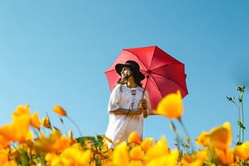 Woman Walking Through a Yellow Poppy Field Holding Red Umbrella