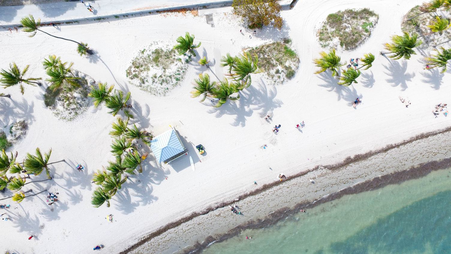 Top View of a Paradise Beach