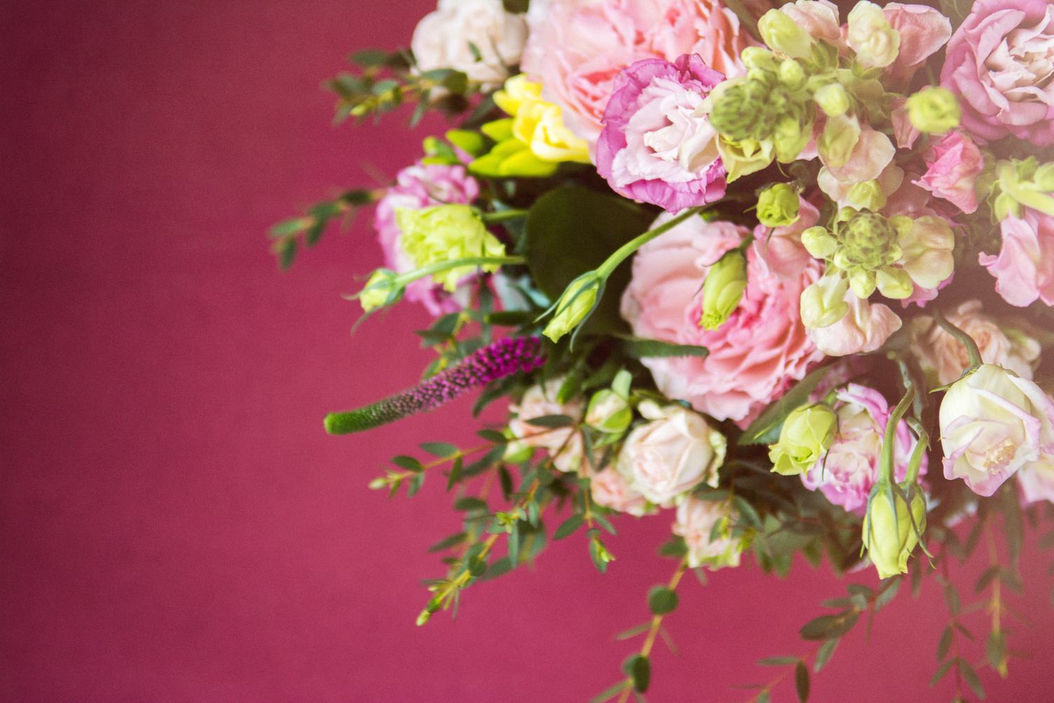 Rich Bunch of Pink Flowers and Green Leaf against Burgundy Background