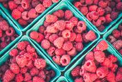 Small Blue Boxes Full of Fresh Raspberries