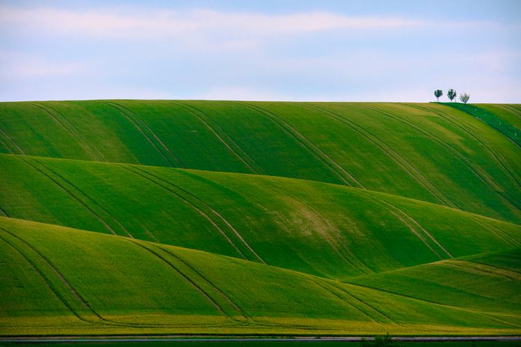 Rural Landscape with Green Filed Hills