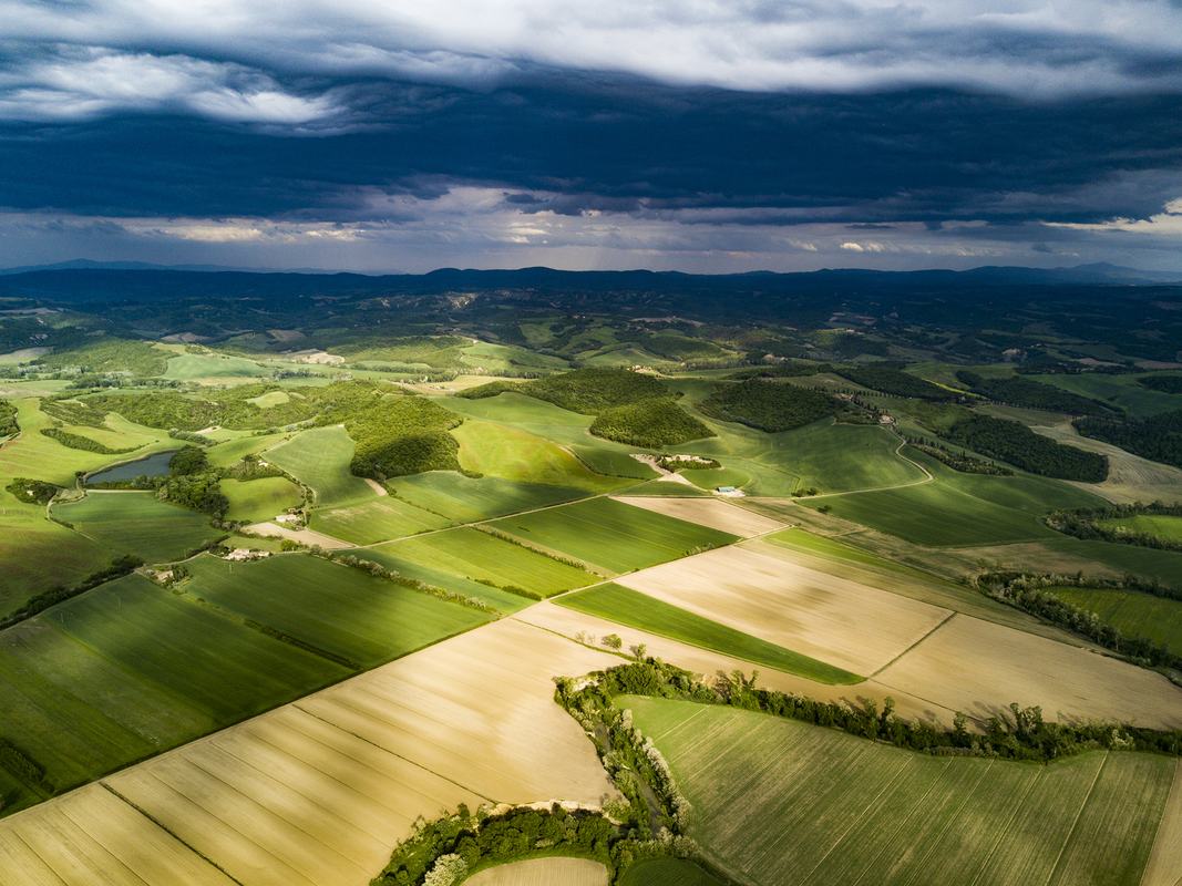 Free Photo: Aerial View of Farmland with Pretty Wooded Boundaries