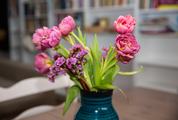 Pink Tulips Bouquet in Vase on Wooden Table