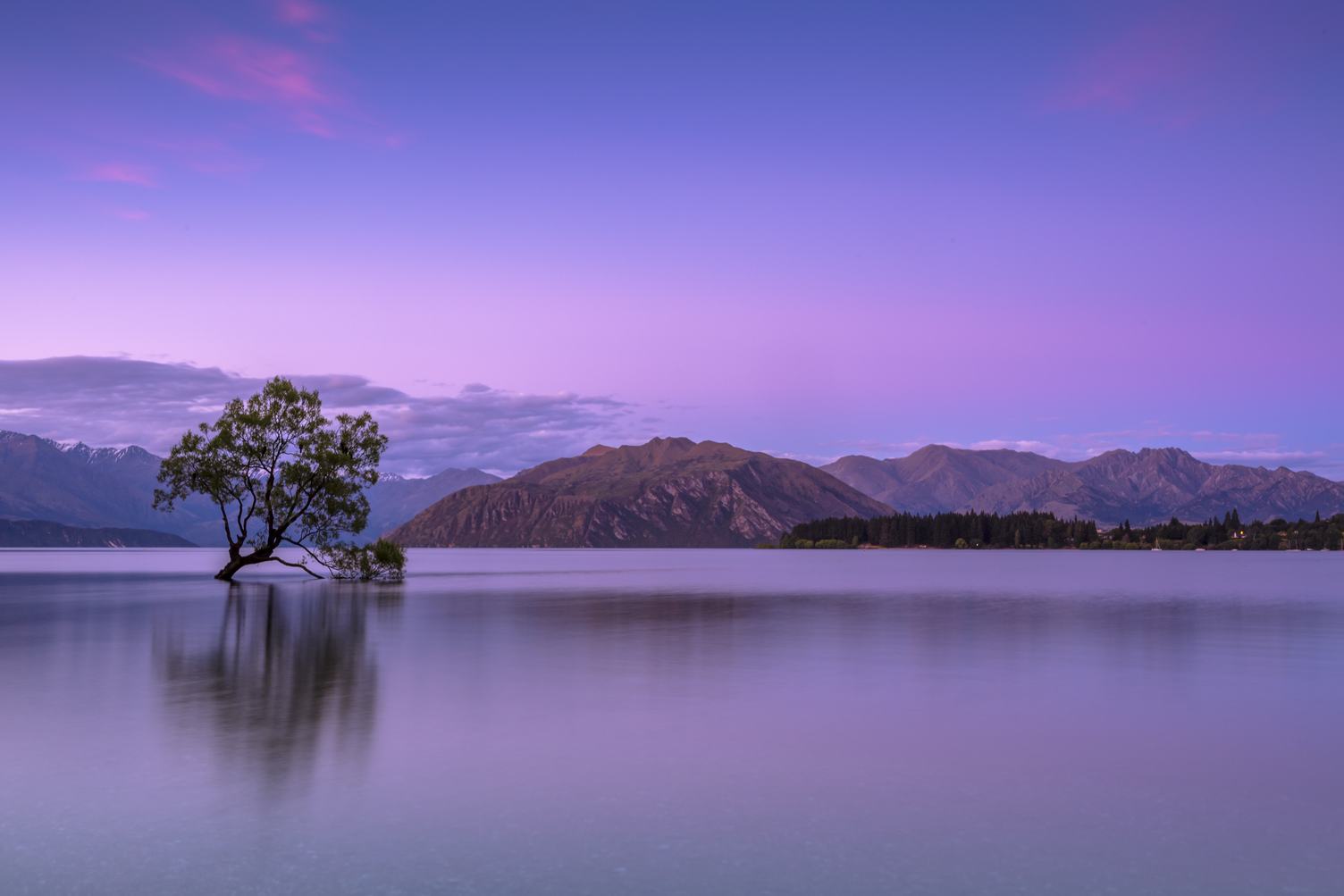 Violet Mountain Landscape with Lake and Tree in the Water